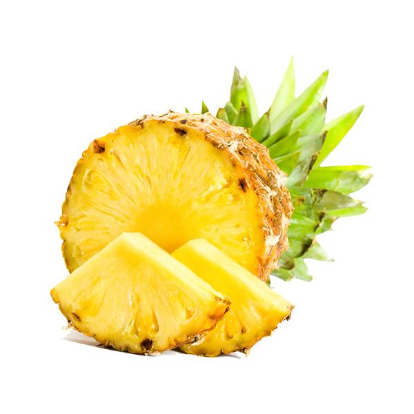 Lorem ipsum dolor sit amet consectetuer